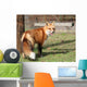 Wheres the Chicken Wall Mural