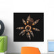 Spider on a black background Wall Mural