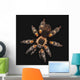 Spider on a black background Wall Mural