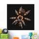 Spider on a black background Wall Mural