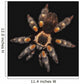 Spider on a black background Wall Mural