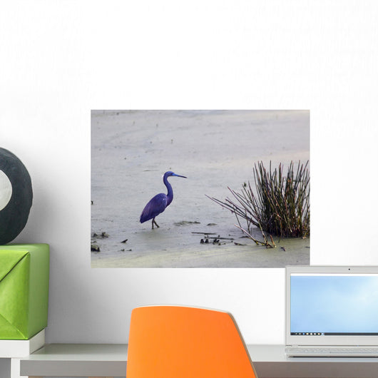 Little Blue Heron Wall Mural