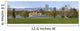 Denver Skyline From City Park Panorama Wall Mural