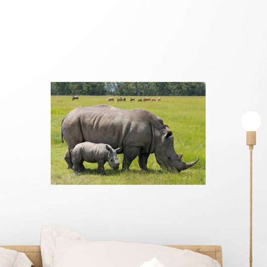 white rhinoceros with 2 weeks calf Wall Mural