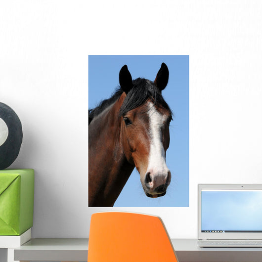 The Horses Head Wall Mural