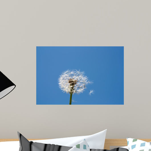 Dandelion Wall Mural
