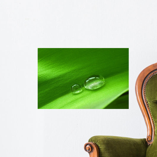 Drops Leaf