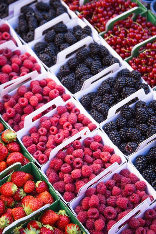 Berries in boxes at a food market;Sault vaucluse provence france Wall Mural