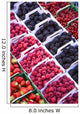 Berries in boxes at a food market;Sault vaucluse provence france Wall Mural