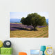 Blooming field of lavender with mountains Wall Mural