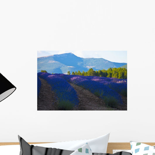 Blooming field of Lavender around Sault and Aurel Wall Mural