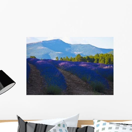 Blooming field of Lavender around Sault and Aurel Wall Mural
