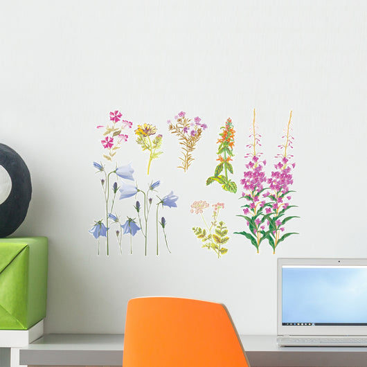 Summer Wild Flowers Collection