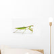 Praying Mantis White St Wall Decal