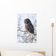 Close Up Of A Great Gray Owl Perched In A Tree Wall Mural