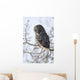 Close Up Of A Great Gray Owl Perched In A Tree Wall Mural