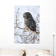 Close Up Of A Great Gray Owl Perched In A Tree Wall Mural