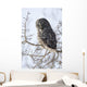 Close Up Of A Great Gray Owl Perched In A Tree Wall Mural