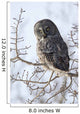 Close Up Of A Great Gray Owl Perched In A Tree Wall Mural