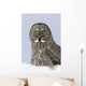 Great Gray Sitting In Snow, Anchorage, Southcentral Alaska, Winter Wall Mural