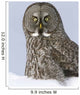 Great Gray Sitting In Snow, Anchorage, Southcentral Alaska, Winter Wall Mural