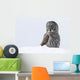 Great Gray Sitting In Snow, Anchorage, Southcentral Alaska, Winter Wall Mural