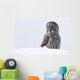 Great Gray Sitting In Snow, Anchorage, Southcentral Alaska, Winter Wall Mural