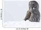 Great Gray Sitting In Snow, Anchorage, Southcentral Alaska, Winter Wall Mural