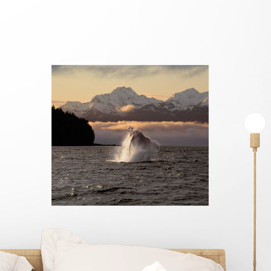 Composite:A Humpback Whale Breaches Wall Mural