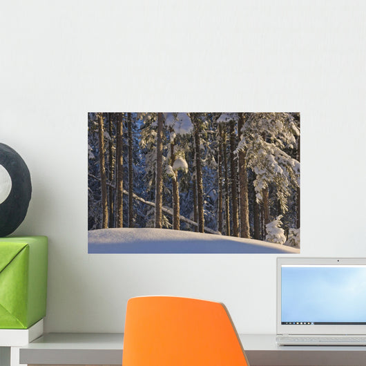 Fresh Snowfall Wall Mural