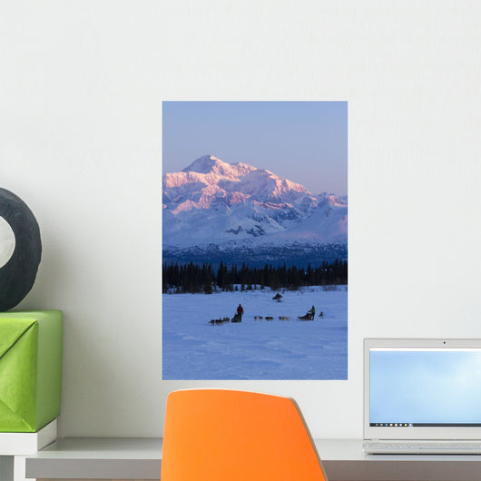 Recreational Dog Mushing Wall Mural