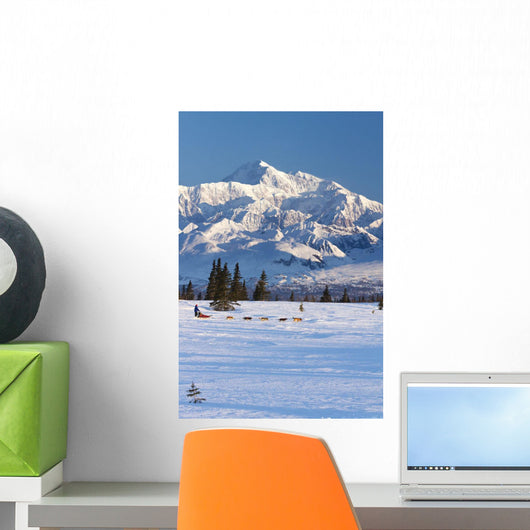 Recreational Dog Mushing Wall Mural