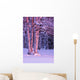 Pink Sunset Light Falling On Birch Trees At Russian Jack Springs Park Wall Mural