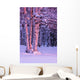 Pink Sunset Light Falling On Birch Trees At Russian Jack Springs Park Wall Mural