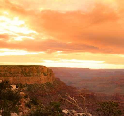 Grand Canyon National Park Wall Decal