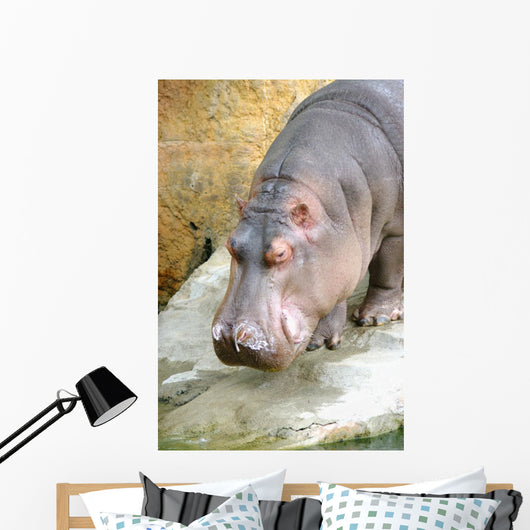 Kaba Wall Mural