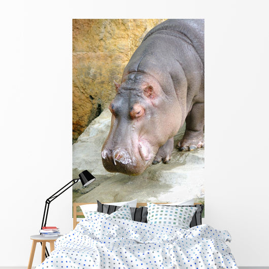 Kaba Wall Mural