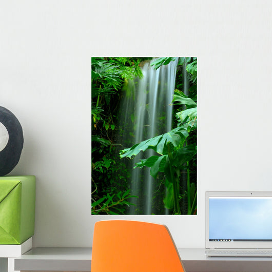 Waterfall Rainforest
