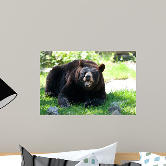 Animals Wall Mural