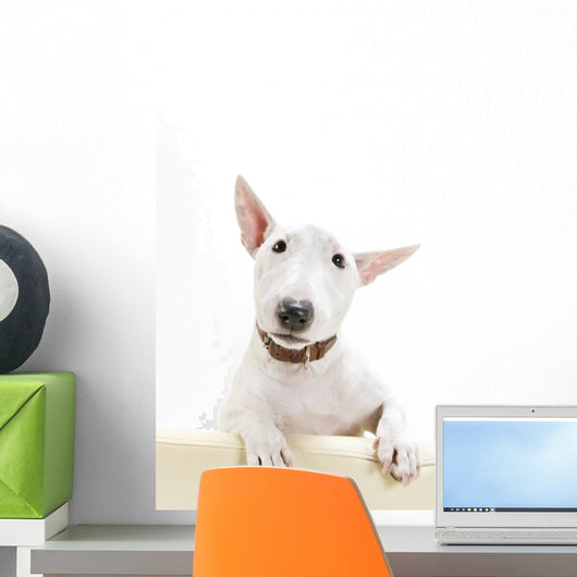 Miniature Bull Terrier Wall Decal