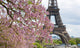 Spring in Paris. Blossoming jacarandas and the Eiffel Tower Wall Mural