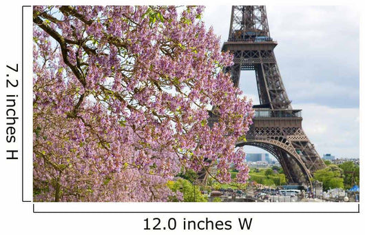 Spring in Paris. Blossoming jacarandas and the Eiffel Tower Wall Mural