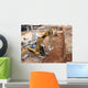 Construction Site Wall Mural