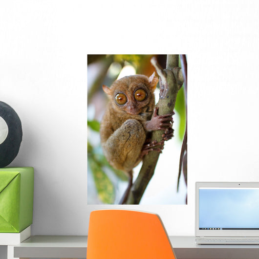 Tarsier Wall Mural