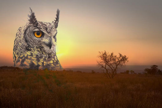 Limpopo Mountain Sunset