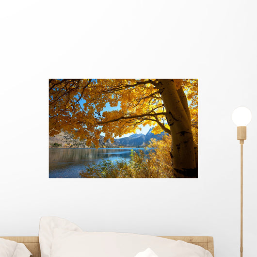 Autumn Lake