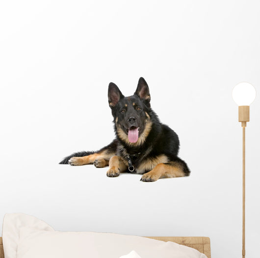 German Shepherd Dog Sticking Out Tongue Wall Decal