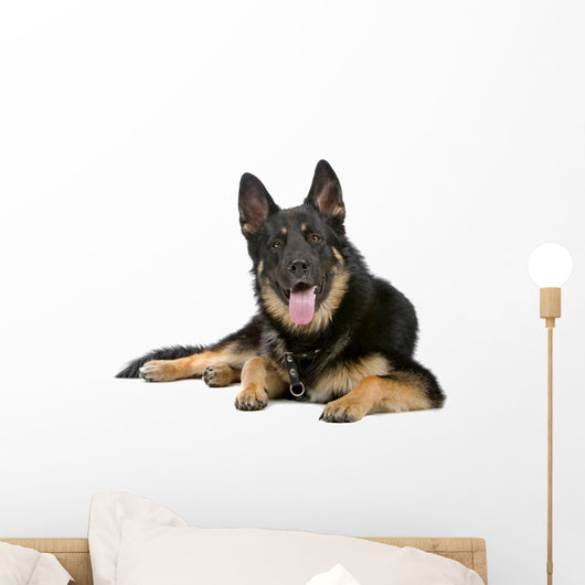 German Shepherd Dog Sticking Out Tongue Wall Decal