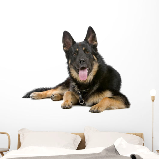 German Shepherd Dog Sticking Out Tongue Wall Decal