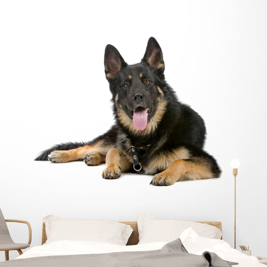 German Shepherd Dog Sticking Out Tongue Wall Decal